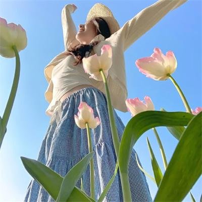 天方夜谭：辛巴达历险记